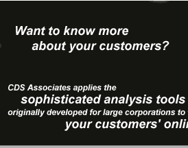 CDS Associates applies the sophisticated analysis tools originally developed for large corporations to track and analyze your customers' online behavior
